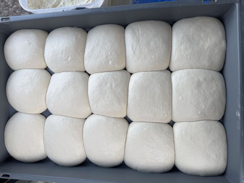 Tray of proved pizza dough balls seen from above, ready for stretching